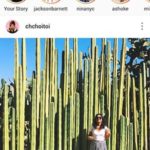 Instagram (Top Photo Apps)