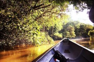Amazonas- Regenwald - Reisebericht Ecuador