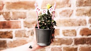 Das persönliche Blümchen als Muttertagsgeschenke DIY