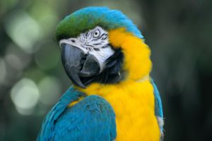 Zoo Photography