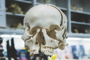 Phorography Jobs - Forensic