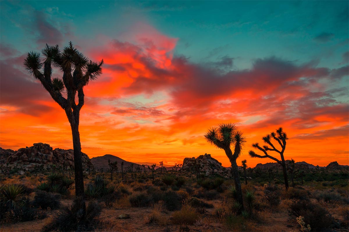 Seven Tips For Stunning Desert Photography MyPostcard Blog