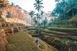 Top 10 Travel Destinations In Asia