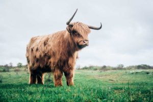 Best cities to visit in Scotland