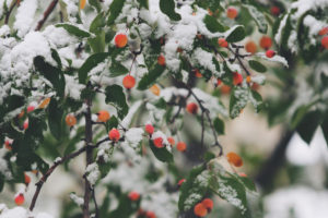 Winter Photography Tips
