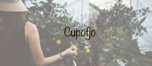 Top Lifestyle Blogger on Instagram - Cupofjo