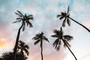 Summer Vacation Spots - Hawaii