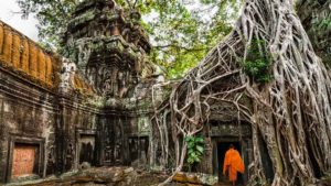 Coolest places on earth - Ta Prohm