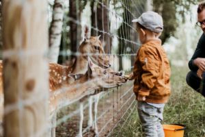 Wochenendtrip mit Kind - 5 Destinationen für die ganze Familie