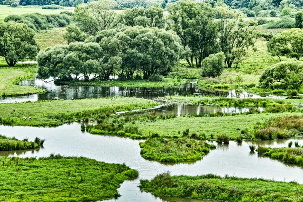 Grüne mit wasserdurchtränkten Wiesen in Bliesgau sorgt für den perfekte Natururlaub in Deutschland