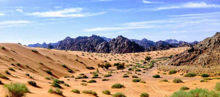 Saudi Arabia: The Ultimate Travel Guide