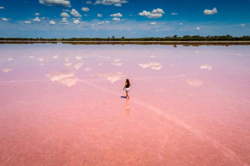 Pink Seen in Victoria, Australien