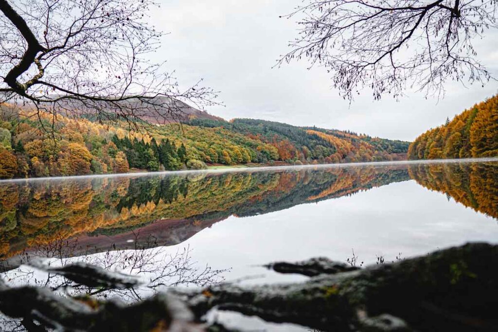Autumnal trees line a lake in one of the best rural places to visit in the UK, the Peak District.