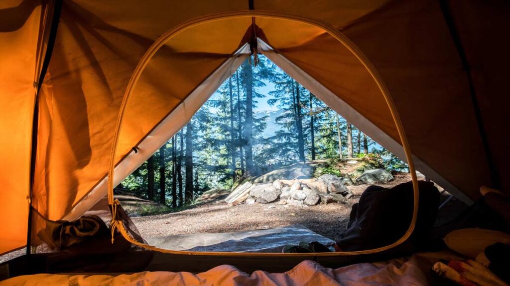 Campingfoto von einen Wald aus einem Zelt