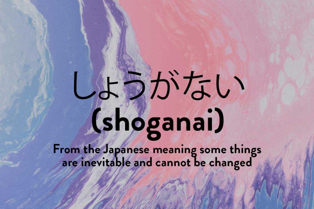 Shoganai translates roughly to inspirational words in other languages about how some things are inevitable   