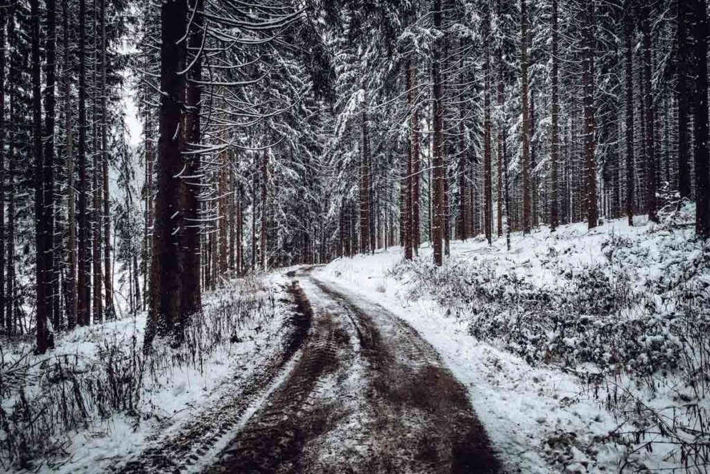 Thüringen Wald im Schnee