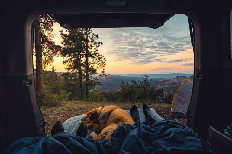 View of dog and photographer's legs stretching out of a camper van with a natural scene in the sunset.