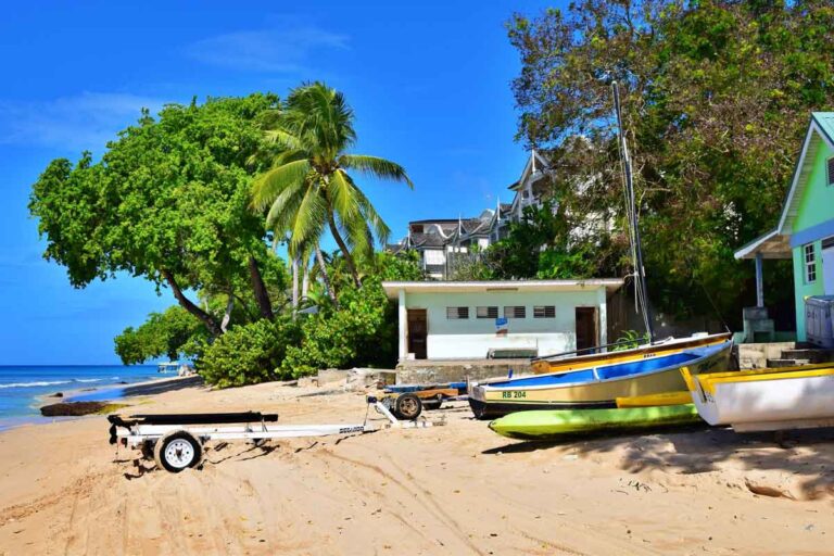 A beach in Barbados with blue skies and a sandy expanse covered in colorful boats. Behind, palm trees rise up.