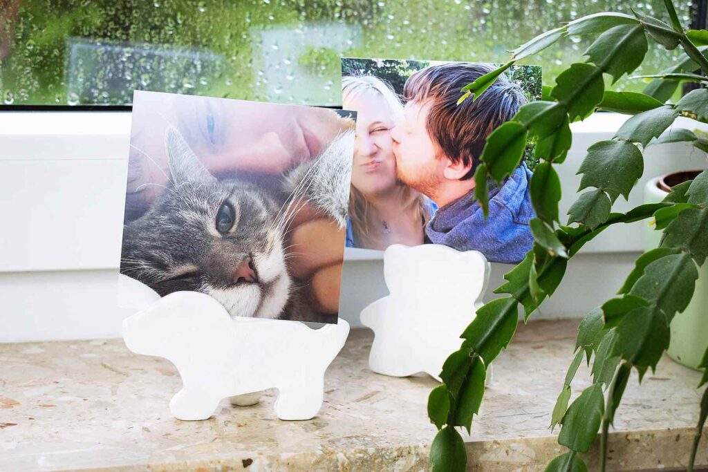 DIY Postkartenhalter mit einem Bild von ein Paar und einem Bild von eine Katze.