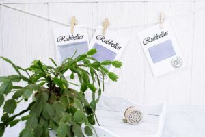 EIn Bild von die Rubbelos auf einer Kette. Vorner eine grüne Pflanze