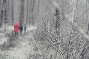 Spaziergang im Wald.