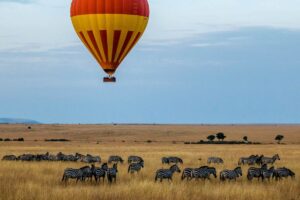 Die afrikanische Wildnis bietet ebenso viele verschiedene und prachtvolle Orte, um einen Heiratsantrag zu stellen.