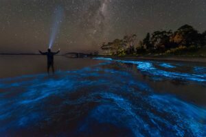 Luminescent waters of Mosquito Bay in the night, one of the most unique views worldwide
