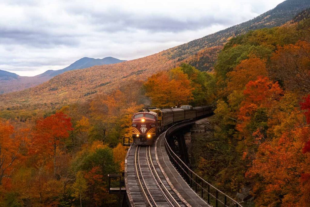 A train driving through a forest in fall colours