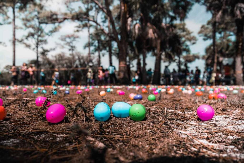 An Easter egg hunt laid in a forest clearing